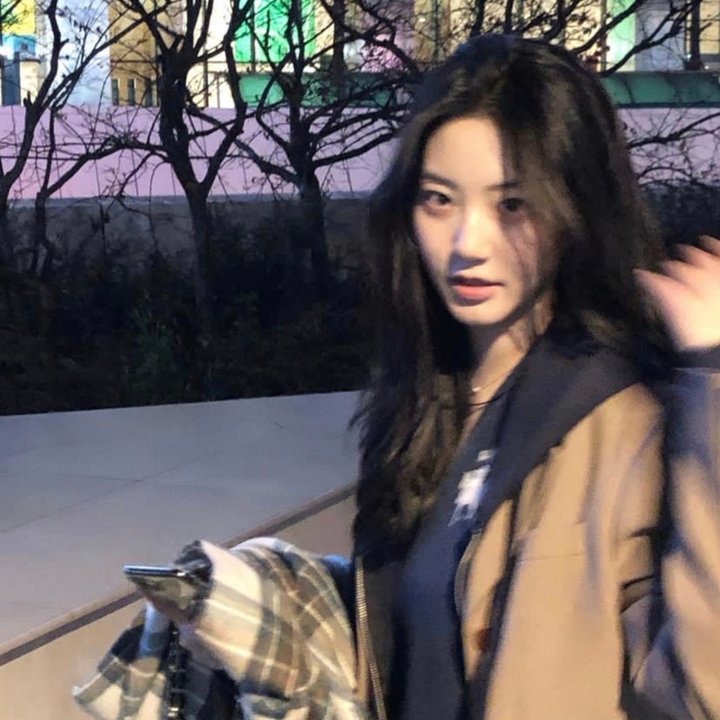 莱卡